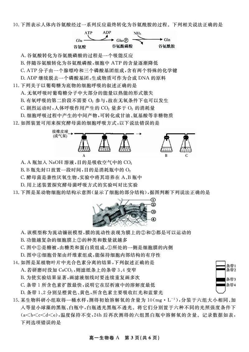 生物试题A&middot;2026年2月高一期末_2026年02月高一试卷_260208安徽省皖江名校联盟2025-2026学年上学期高一期末考试（全）
