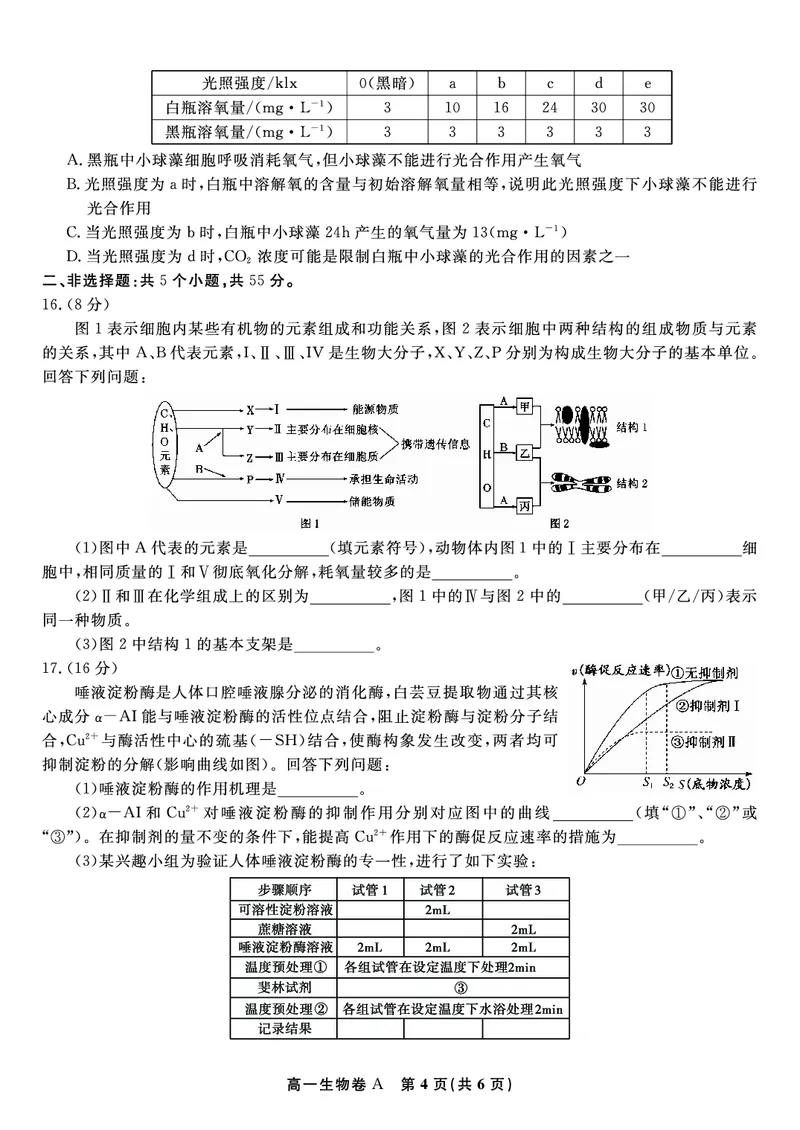 生物试题A&middot;2026年2月高一期末_2026年02月高一试卷_260208安徽省皖江名校联盟2025-2026学年上学期高一期末考试（全）