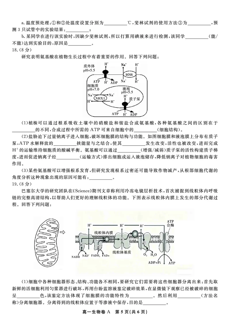 生物试题A&middot;2026年2月高一期末_2026年02月高一试卷_260208安徽省皖江名校联盟2025-2026学年上学期高一期末考试（全）