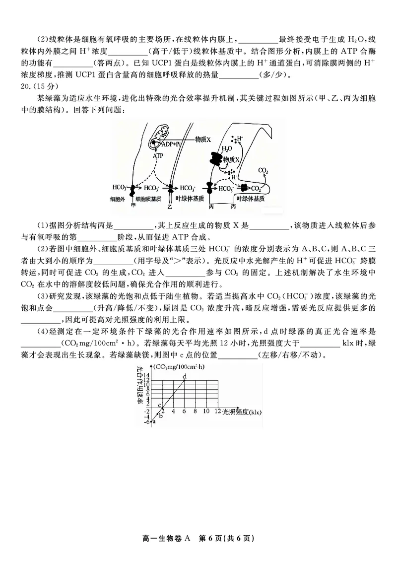 生物试题A&middot;2026年2月高一期末_2026年02月高一试卷_260208安徽省皖江名校联盟2025-2026学年上学期高一期末考试（全）
