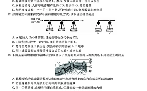 生物试题A&middot;2026年2月高一期末_2026年02月高一试卷_260208安徽省皖江名校联盟2025-2026学年上学期高一期末考试（全）