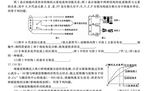 生物试题A&middot;2026年2月高一期末_2026年02月高一试卷_260208安徽省皖江名校联盟2025-2026学年上学期高一期末考试（全）