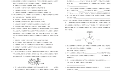 生物学A卷天一大联考&middot;2025-2026学年高二年级阶段性测试（一）_2025年11月高一试卷_251107天一大联考&middot;河南省2025-2026学年高二年级阶段性测试（一）（全）
