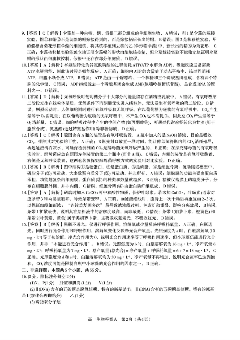 生物答案A&middot;2026年2月高一期末_2026年02月高一试卷_260208安徽省皖江名校联盟2025-2026学年上学期高一期末考试（全）_答案PDF