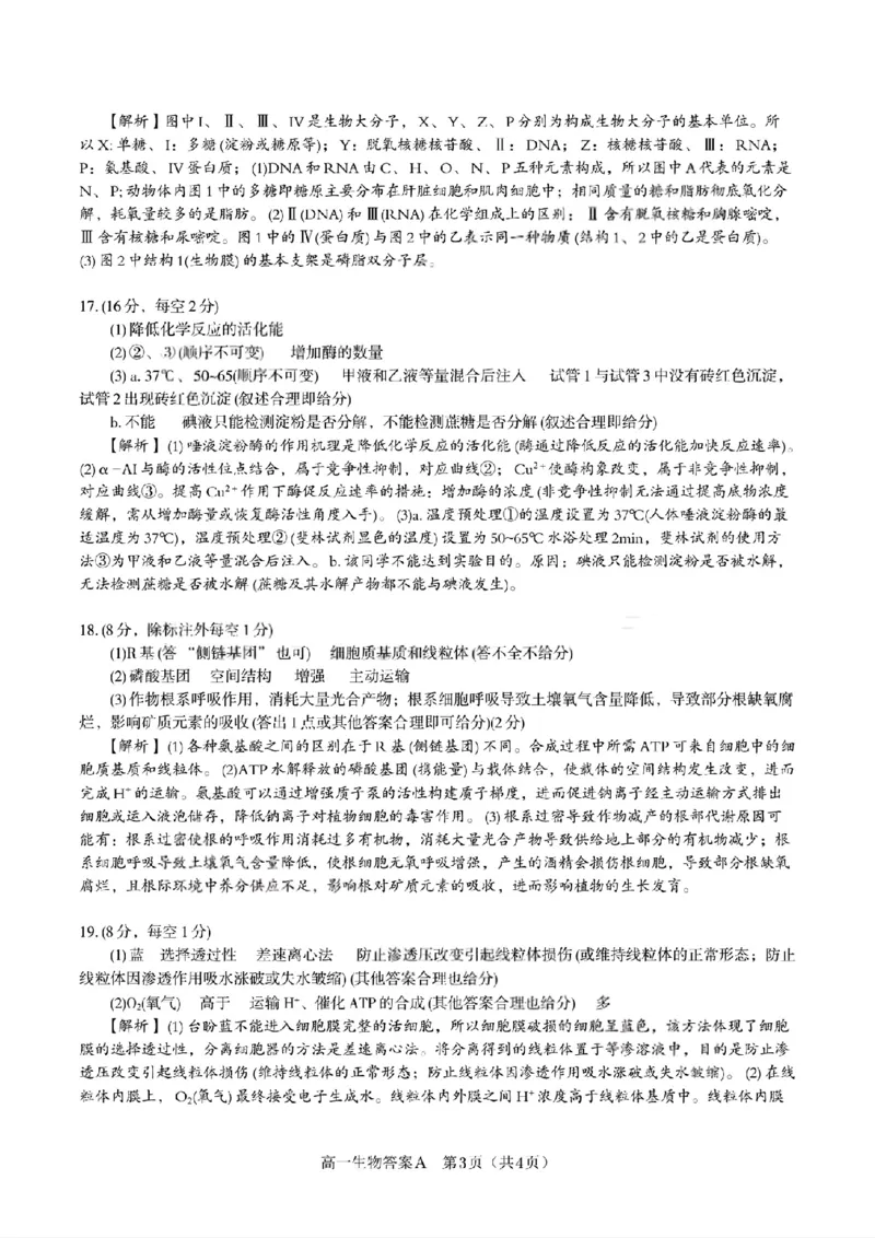 生物答案A&middot;2026年2月高一期末_2026年02月高一试卷_260208安徽省皖江名校联盟2025-2026学年上学期高一期末考试（全）_答案PDF