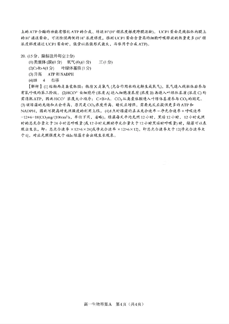 生物答案A&middot;2026年2月高一期末_2026年02月高一试卷_260208安徽省皖江名校联盟2025-2026学年上学期高一期末考试（全）_答案PDF