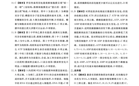 生物2025年辽宁高一12月联考答案_2025年12月高一试卷_251215辽宁省名校联盟2025-2026学年高一上学期12月联合考试（全）_辽宁省名校联盟2025-2026学年高一上学期12月联合考试生物试卷含答案