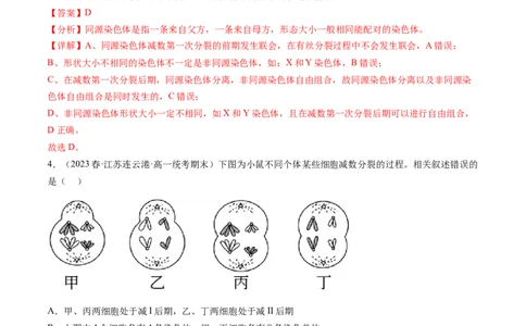第13讲减数分裂和受精作用（练习）（解析版）_新高考复习资料_2024年新高考复习资料_一轮复习资料_完2024年高考生物一轮复习讲练测(课件+讲义+练习)（新高考）_讲义+练习