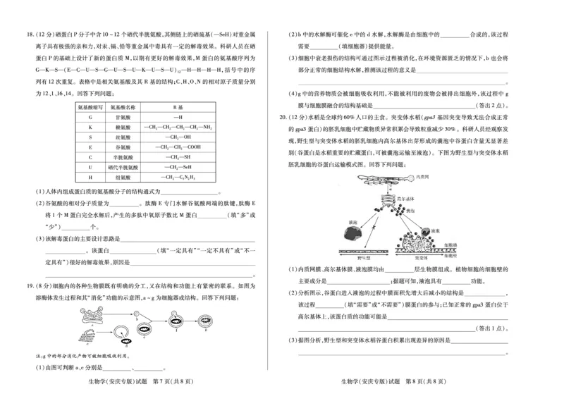 生物学安庆专版天一大联考&middot;安徽省2025-2026学年高一上学期期中联考_2025年11月高一试卷_251123天一大联考&middot;安徽省2025-2026学年高一上学期期中联考（全）