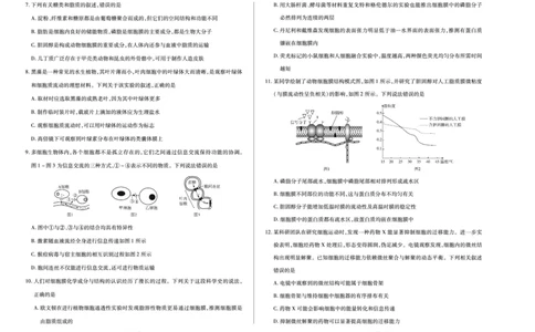 生物学安庆专版天一大联考&middot;安徽省2025-2026学年高一上学期期中联考_2025年11月高一试卷_251123天一大联考&middot;安徽省2025-2026学年高一上学期期中联考（全）