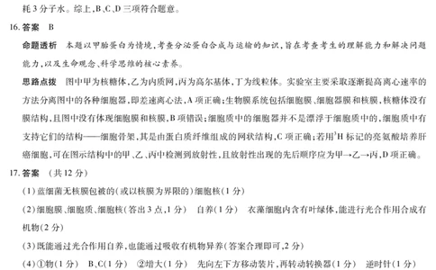 生物学湖南高一上期中详细答案_2025年11月高一试卷_251125天一大联考&middot;湖南湘一名校2025-2026学年高一上学期期中考试（全科）_11.18-19湖南湘一名校高一期中答案