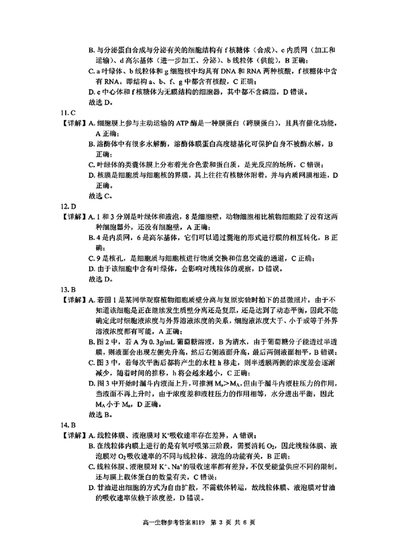 生物答案_2024年12月试卷_1220河南省驻马店市环际大联考&ldquo;逐梦计划&rdquo;2024-2025学年高一上学期阶段性考试（三）
