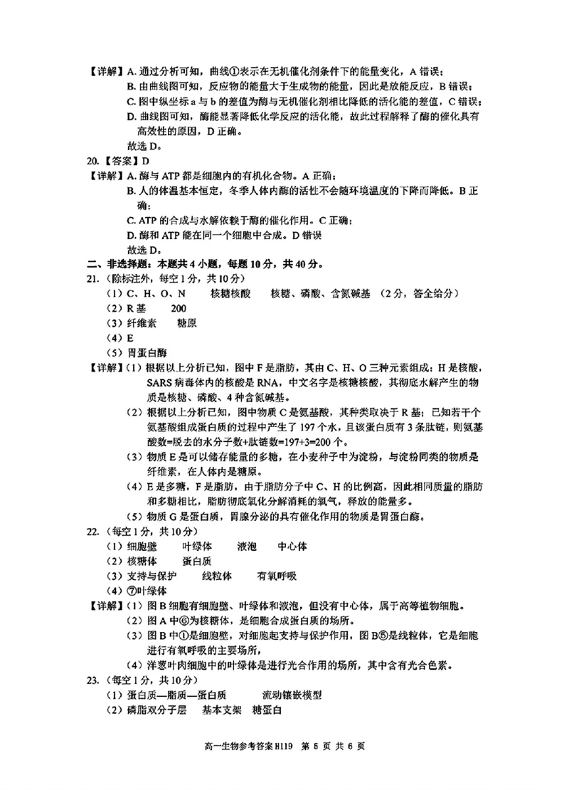 生物答案_2024年12月试卷_1220河南省驻马店市环际大联考&ldquo;逐梦计划&rdquo;2024-2025学年高一上学期阶段性考试（三）