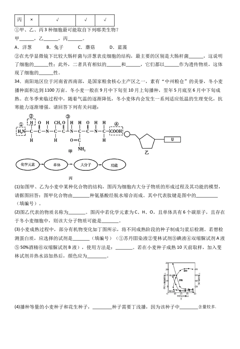 生物_2025年11月高一试卷_251126河南省南阳市方城县第一高级中学2025-2026学年高一上学期11月期中_河南省南阳市方城县第一高级中学2025-2026学年高一上学期11月期中生物试题（有答案）