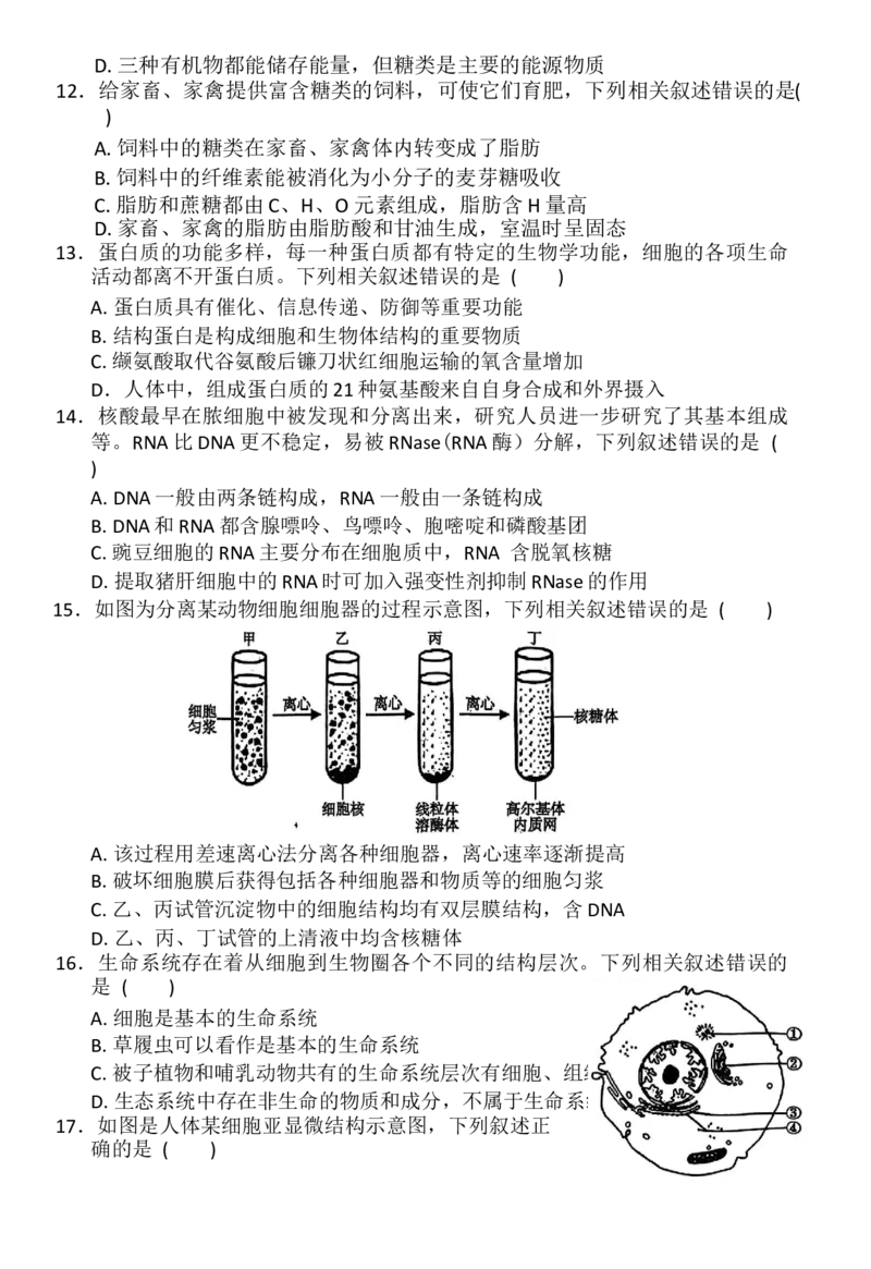 生物_2025年11月高一试卷_251126河南省南阳市方城县第一高级中学2025-2026学年高一上学期11月期中_河南省南阳市方城县第一高级中学2025-2026学年高一上学期11月期中生物试题（有答案）
