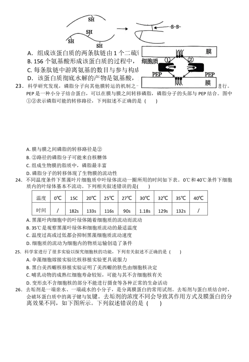 生物_2025年11月高一试卷_251126河南省南阳市方城县第一高级中学2025-2026学年高一上学期11月期中_河南省南阳市方城县第一高级中学2025-2026学年高一上学期11月期中生物试题（有答案）