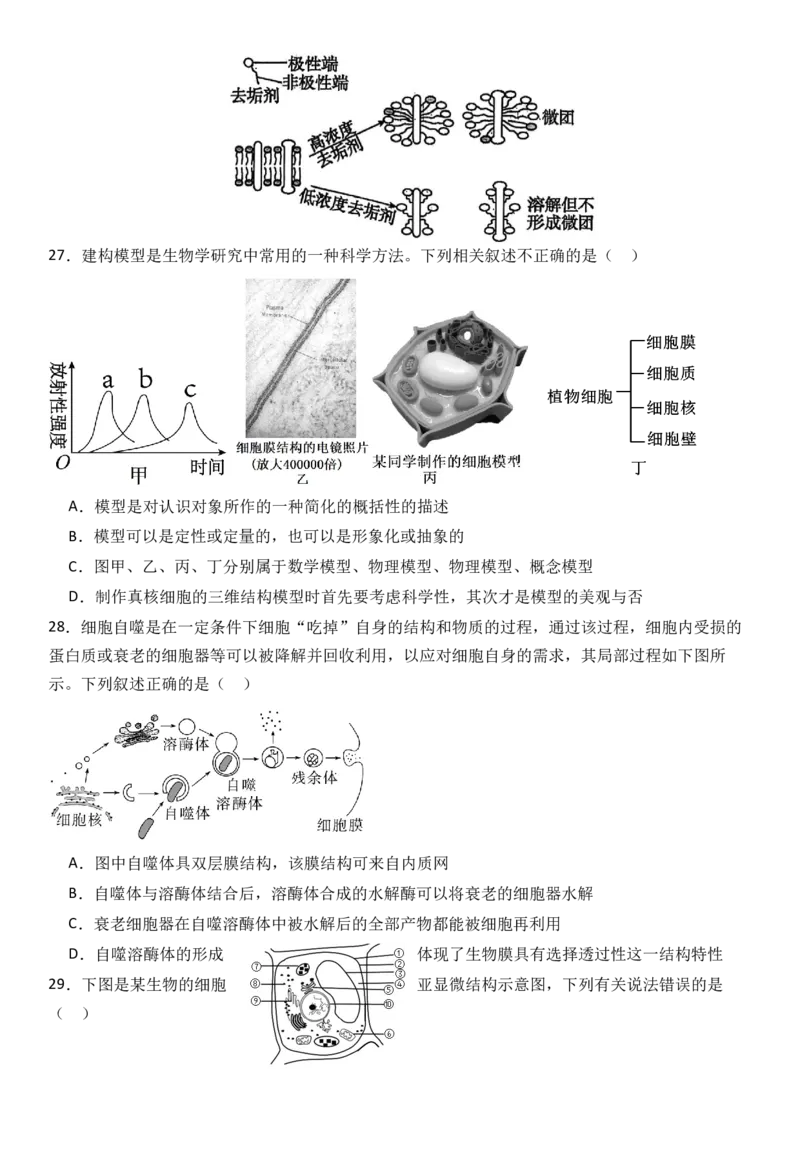 生物_2025年11月高一试卷_251126河南省南阳市方城县第一高级中学2025-2026学年高一上学期11月期中_河南省南阳市方城县第一高级中学2025-2026学年高一上学期11月期中生物试题（有答案）
