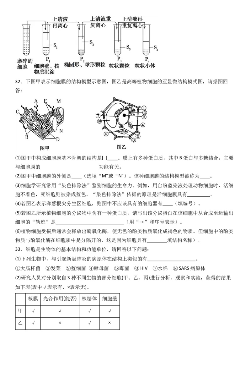 生物_2025年11月高一试卷_251126河南省南阳市方城县第一高级中学2025-2026学年高一上学期11月期中_河南省南阳市方城县第一高级中学2025-2026学年高一上学期11月期中生物试题（有答案）
