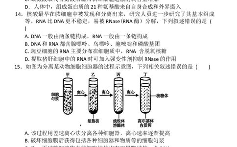 生物_2025年11月高一试卷_251126河南省南阳市方城县第一高级中学2025-2026学年高一上学期11月期中_河南省南阳市方城县第一高级中学2025-2026学年高一上学期11月期中生物试题（有答案）