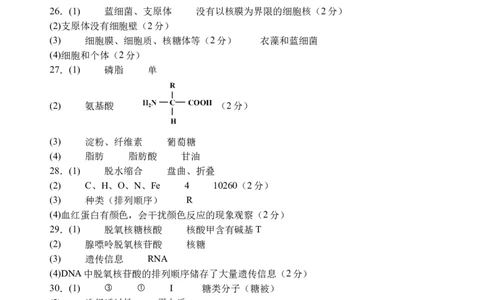 生物答案_2025年12月高一试卷_251210四川省遂宁市射洪中学2025-2026学年高一上学期12月月考试题（全）_四川省遂宁市射洪中学2025-2026学年高一上学期12月月考试题生物Word版含答案