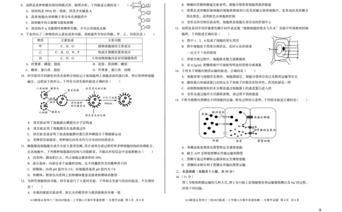 生物（B卷）A10联盟＆宿州十三校2025级高一上学期11月期中质量检测生物学B_2025年11月高一试卷_251124安徽省A10联盟＆宿州十三校2025级高一上学期11月期中质量检测（全）