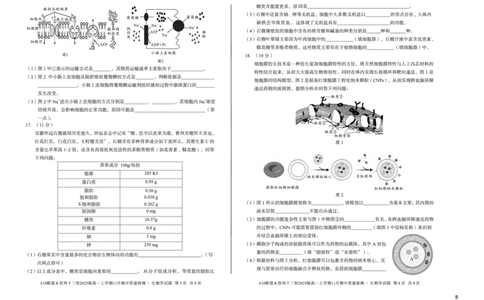 生物（B卷）A10联盟＆宿州十三校2025级高一上学期11月期中质量检测生物学B_2025年11月高一试卷_251124安徽省A10联盟＆宿州十三校2025级高一上学期11月期中质量检测（全）