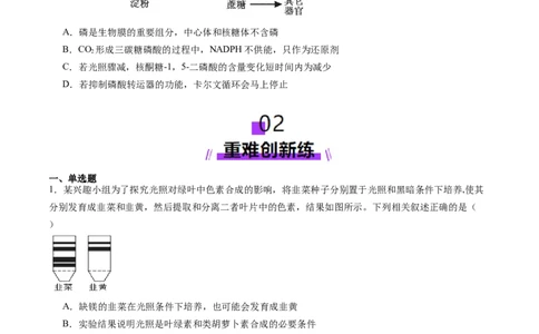 第10讲光合作用（第一课时）（练习）（原卷版）_2025年新高考资料_一轮复习_2025年高考生物一轮复习讲练测（新教材新高考）