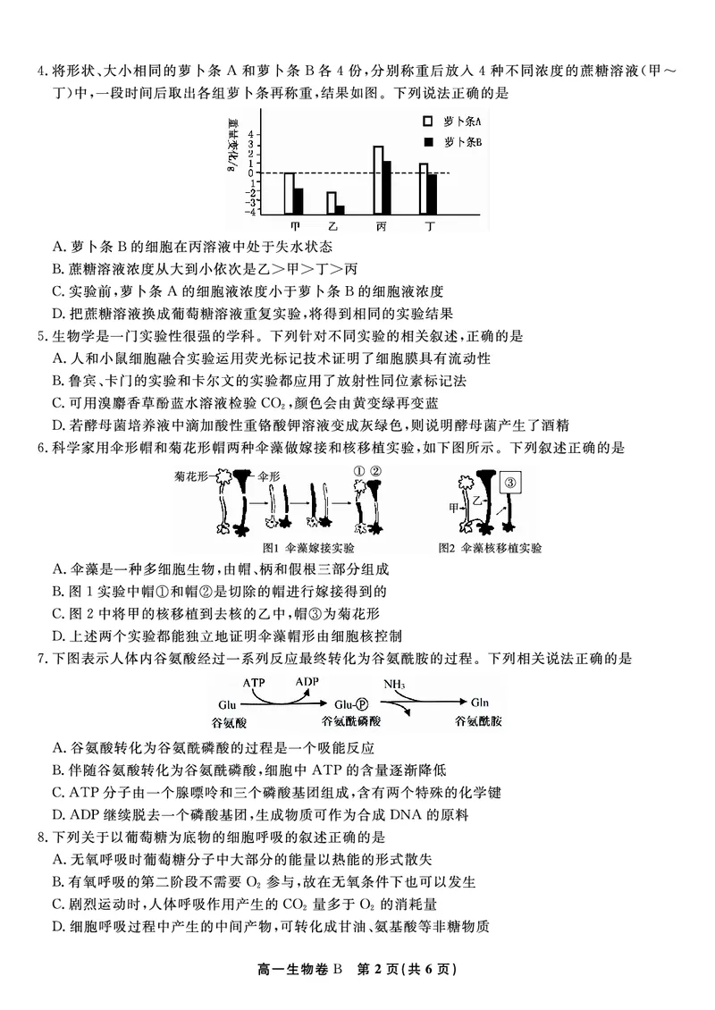 生物试题B&middot;2026年2月高一期末_2026年02月高一试卷_260208安徽省皖江名校联盟2025-2026学年上学期高一期末考试（全）