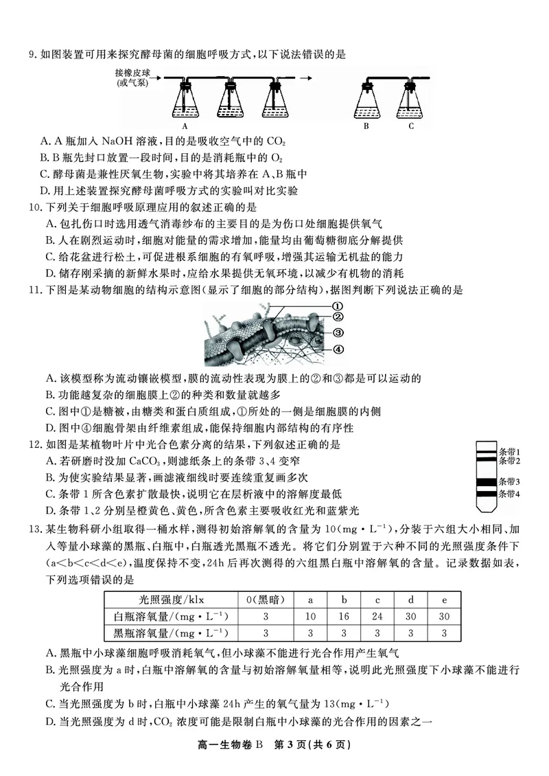 生物试题B&middot;2026年2月高一期末_2026年02月高一试卷_260208安徽省皖江名校联盟2025-2026学年上学期高一期末考试（全）