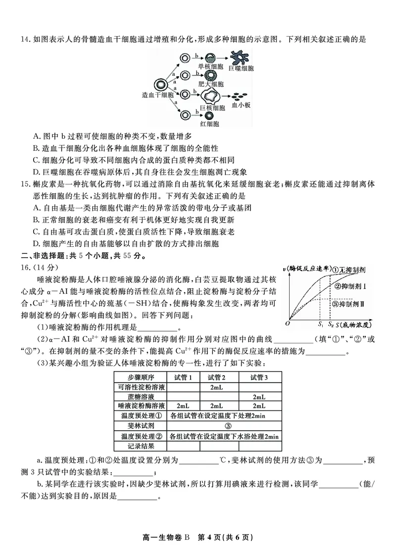 生物试题B&middot;2026年2月高一期末_2026年02月高一试卷_260208安徽省皖江名校联盟2025-2026学年上学期高一期末考试（全）