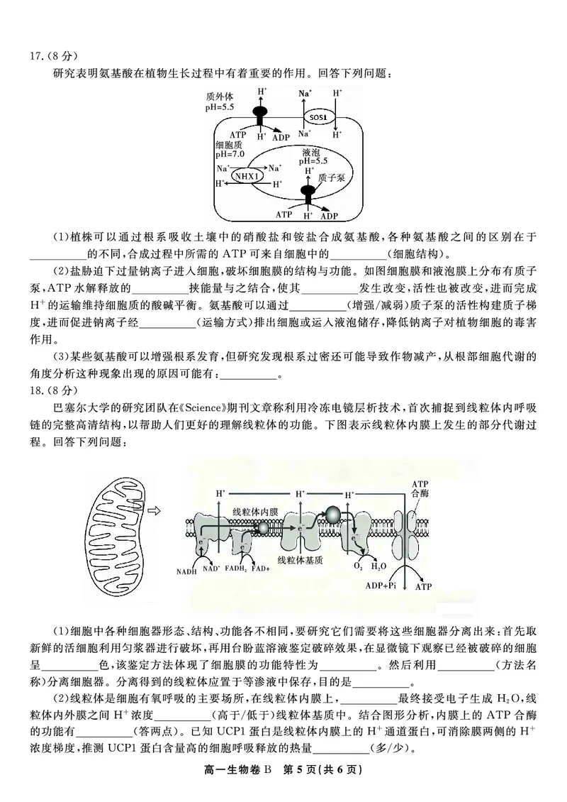 生物试题B&middot;2026年2月高一期末_2026年02月高一试卷_260208安徽省皖江名校联盟2025-2026学年上学期高一期末考试（全）