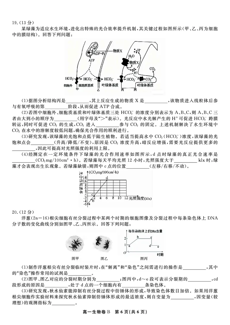 生物试题B&middot;2026年2月高一期末_2026年02月高一试卷_260208安徽省皖江名校联盟2025-2026学年上学期高一期末考试（全）