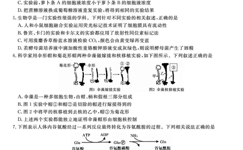 生物试题B&middot;2026年2月高一期末_2026年02月高一试卷_260208安徽省皖江名校联盟2025-2026学年上学期高一期末考试（全）