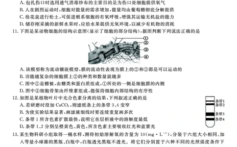 生物试题B&middot;2026年2月高一期末_2026年02月高一试卷_260208安徽省皖江名校联盟2025-2026学年上学期高一期末考试（全）