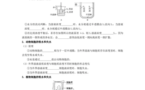 第11讲被动运输-精准备考备战2023年高考生物一轮复习精品讲义（生物学必修1）（原卷版）_通用版（老高考）复习资料_2023年复习资料_一轮复习