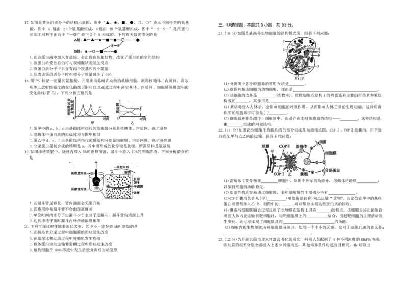生物试题_2024年12月试卷_1207辽宁省朝阳市重点高中2024-2025学年高一12月联考_辽宁省朝阳市重点高中2024-2025学年高一上学期12月月考生物试题