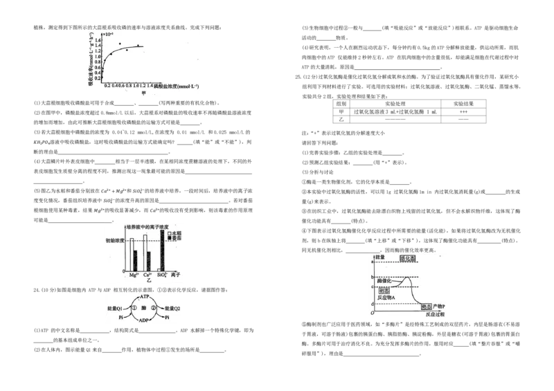 生物试题_2024年12月试卷_1207辽宁省朝阳市重点高中2024-2025学年高一12月联考_辽宁省朝阳市重点高中2024-2025学年高一上学期12月月考生物试题