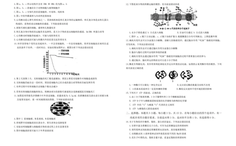 生物试题_2024年12月试卷_1207辽宁省朝阳市重点高中2024-2025学年高一12月联考_辽宁省朝阳市重点高中2024-2025学年高一上学期12月月考生物试题
