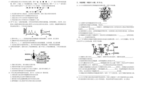 生物试题_2024年12月试卷_1207辽宁省朝阳市重点高中2024-2025学年高一12月联考_辽宁省朝阳市重点高中2024-2025学年高一上学期12月月考生物试题