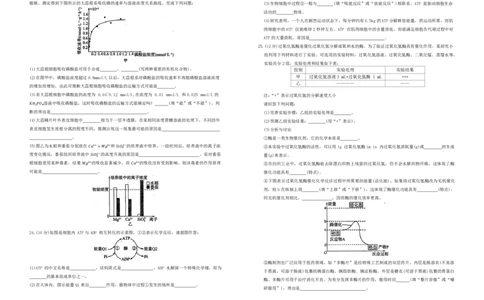 生物试题_2024年12月试卷_1207辽宁省朝阳市重点高中2024-2025学年高一12月联考_辽宁省朝阳市重点高中2024-2025学年高一上学期12月月考生物试题