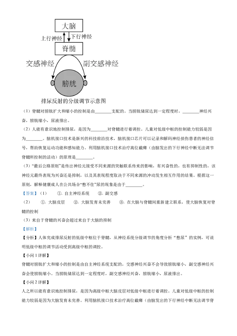 福建省南平市2024-2025学年高二上学期期末考试生物试题Word版含解析_2025年03月试卷_0323福建省南平市2024-2025学年高一上学期期末考试