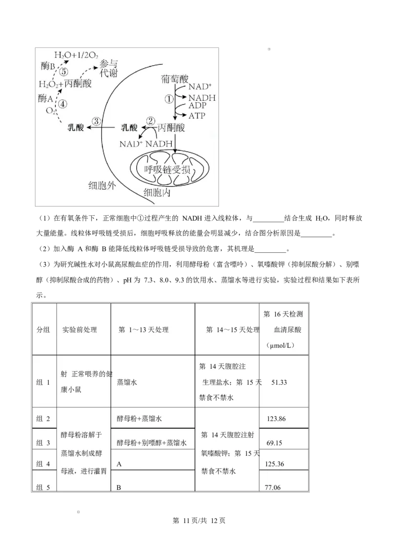 福建省漳州市2024-2025学年高一上学期期末考试生物试题Word版无答案_2025年03月试卷_0310福建省漳州市2024-2025学年高一上学期1月期末考试