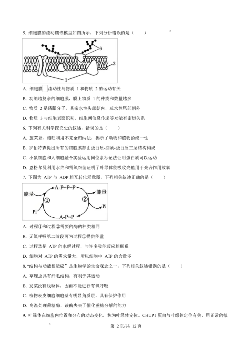 福建省漳州市2024-2025学年高一上学期期末考试生物试题Word版无答案_2025年03月试卷_0310福建省漳州市2024-2025学年高一上学期1月期末考试