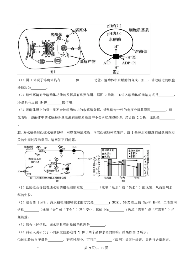 福建省漳州市2024-2025学年高一上学期期末考试生物试题Word版无答案_2025年03月试卷_0310福建省漳州市2024-2025学年高一上学期1月期末考试