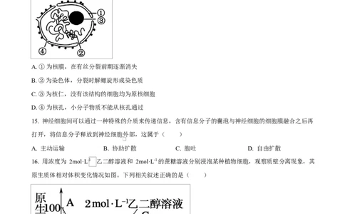福建省漳州市2024-2025学年高一上学期期末考试生物试题Word版无答案_2025年03月试卷_0310福建省漳州市2024-2025学年高一上学期1月期末考试