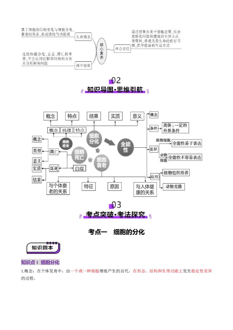 第14讲细胞的分化、衰老、死亡和癌变（讲义）（原卷版）_2025年新高考资料_一轮复习_2025年高考生物一轮复习讲练测（新教材新高考）