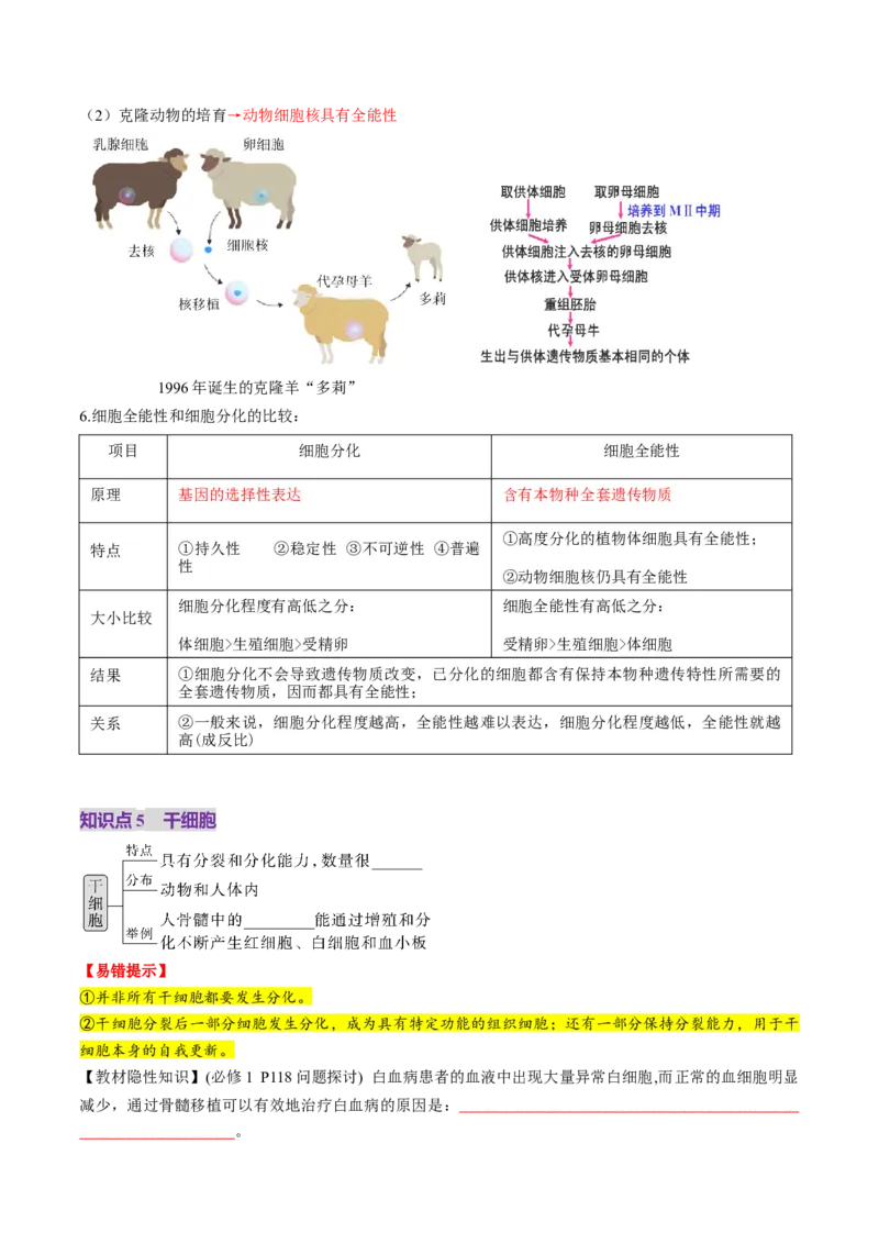 第14讲细胞的分化、衰老、死亡和癌变（讲义）（原卷版）_2025年新高考资料_一轮复习_2025年高考生物一轮复习讲练测（新教材新高考）