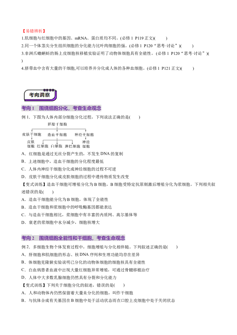 第14讲细胞的分化、衰老、死亡和癌变（讲义）（原卷版）_2025年新高考资料_一轮复习_2025年高考生物一轮复习讲练测（新教材新高考）