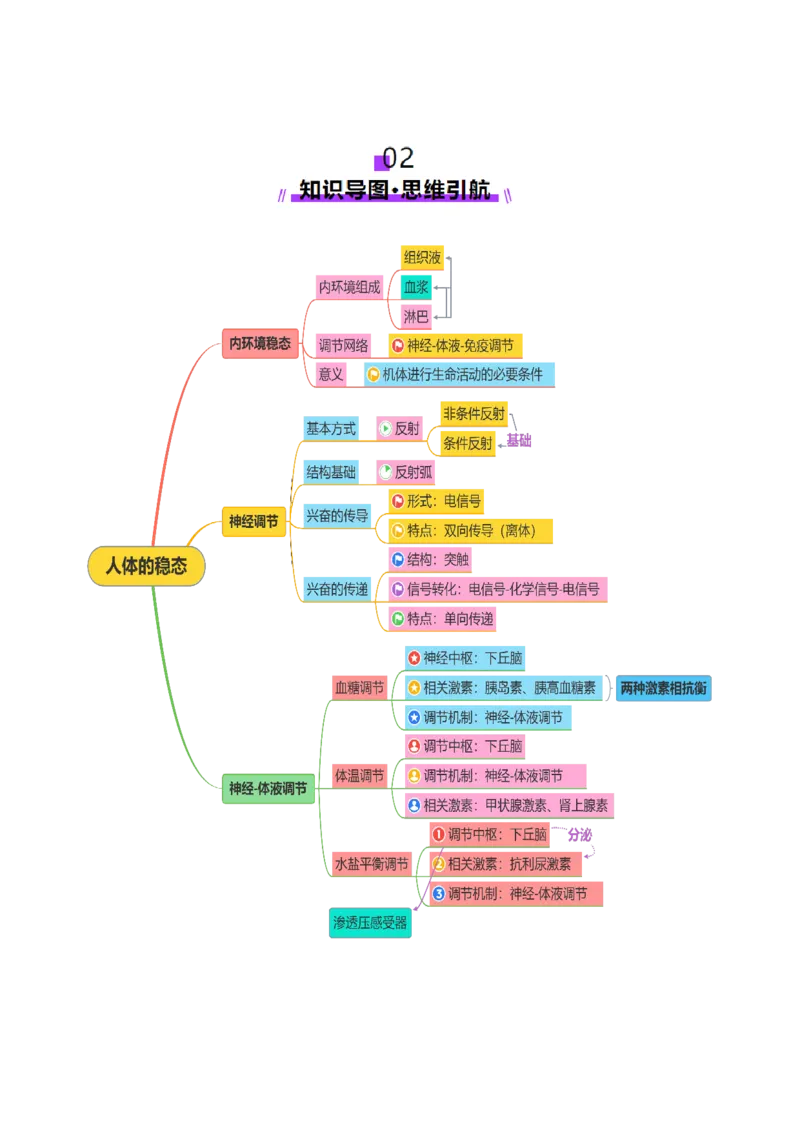 第11讲神经调节和体液调节（讲义）（原卷版）_2025年新高考资料_二轮复习_01高考语文等多个文件_上好课2025年高考生物二轮复习讲练测（新高考通用）