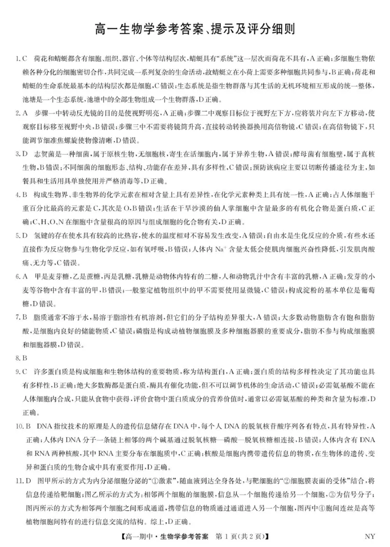 生物答案_2025年11月高一试卷_251110河河南省南阳市九师联盟2025-2026学年高一上学期期中考试_河南省南阳市九师联盟2025-2026学年高一上学期期中生物试题（含答案）